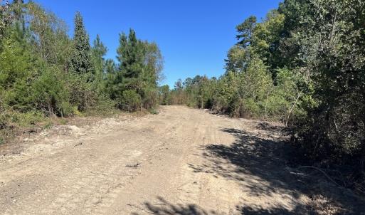 Photo #23 of Off Weadon Road, Blanch, NC 41.3 acres