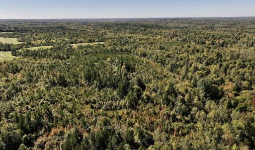 Photo #24 of Off Weadon Road, Blanch, NC 41.3 acres