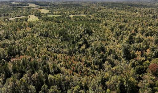 Photo #25 of Off Weadon Road, Blanch, NC 41.3 acres