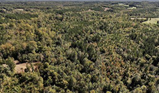 Photo #26 of Off Weadon Road, Blanch, NC 41.3 acres