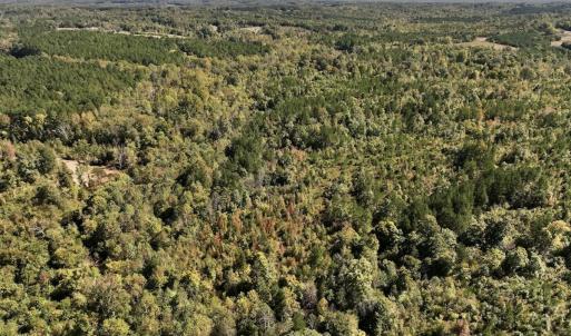 Photo #27 of Off Weadon Road, Blanch, NC 41.3 acres
