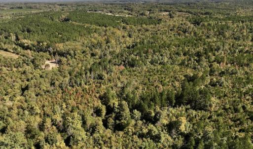 Photo #28 of Off Weadon Road, Blanch, NC 41.3 acres