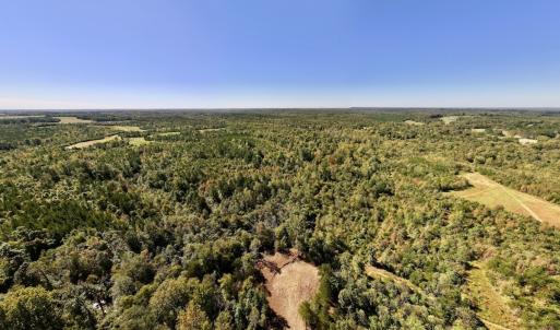 Photo #2 of Off Weadon Road, Blanch, NC 41.3 acres