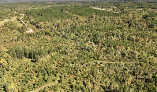 Photo #29 of Off Weadon Road, Blanch, NC 41.3 acres