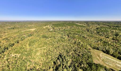Photo #30 of Off Weadon Road, Blanch, NC 41.3 acres