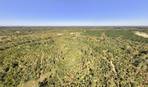 Photo #31 of Off Weadon Road, Blanch, NC 41.3 acres