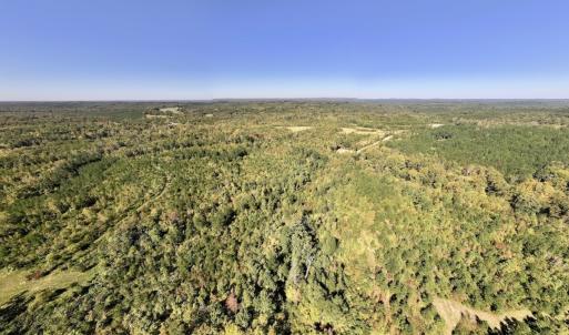 Photo #32 of Off Weadon Road, Blanch, NC 41.3 acres