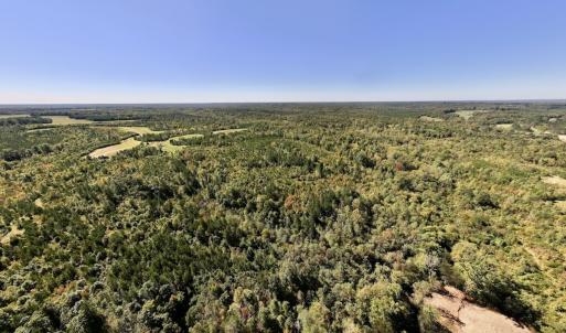 Photo #34 of Off Weadon Road, Blanch, NC 41.3 acres