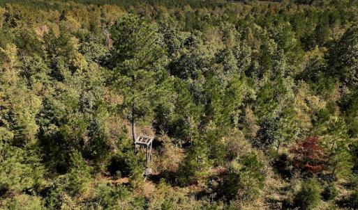 Photo #35 of Off Weadon Road, Blanch, NC 41.3 acres