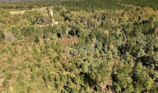 Photo #36 of Off Weadon Road, Blanch, NC 41.3 acres