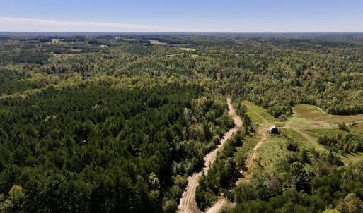 Photo #3 of Off Weadon Road, Blanch, NC 41.3 acres
