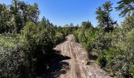 Photo #5 of Off Weadon Road, Blanch, NC 41.3 acres