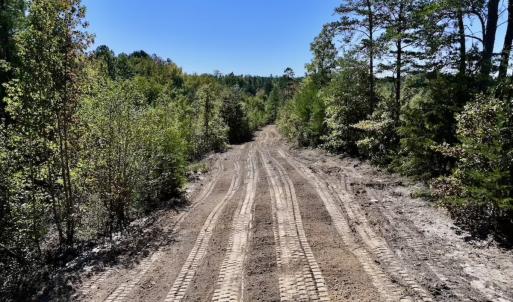 Photo #6 of Off Weadon Road, Blanch, NC 41.3 acres