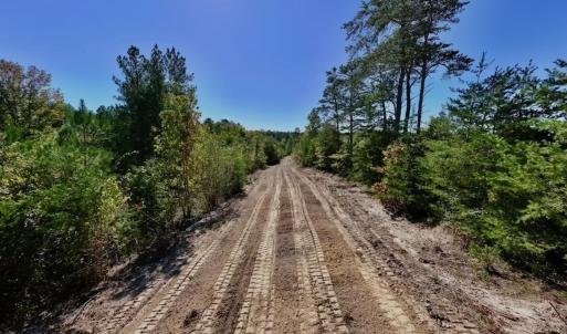 Photo #7 of Off Weadon Road, Blanch, NC 41.3 acres