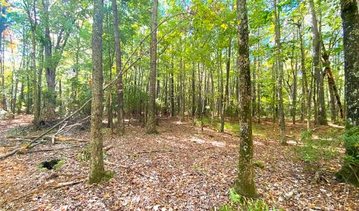Photo #3 of SOLD property in Off Cattail Rd, Mears, VA 112.0 acres