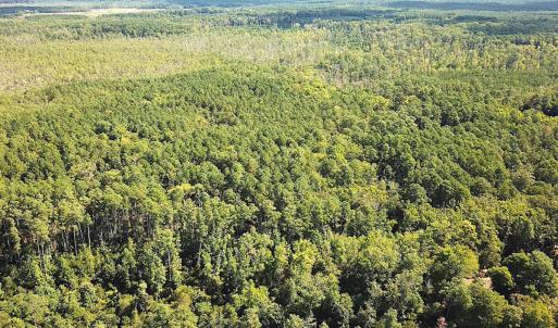 Photo #7 of SOLD property in Off Cattail Rd, Mears, VA 112.0 acres