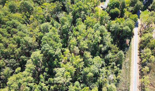 Photo #9 of SOLD property in Off Cattail Rd, Mears, VA 112.0 acres