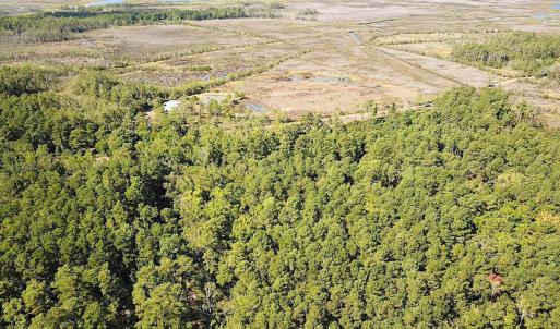 Photo #11 of SOLD property in Off Cattail Rd, Mears, VA 112.0 acres