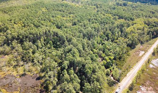 Photo #14 of SOLD property in Off Cattail Rd, Mears, VA 112.0 acres