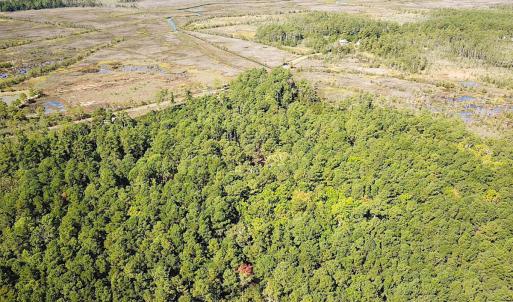 Photo #17 of SOLD property in Off Cattail Rd, Mears, VA 112.0 acres