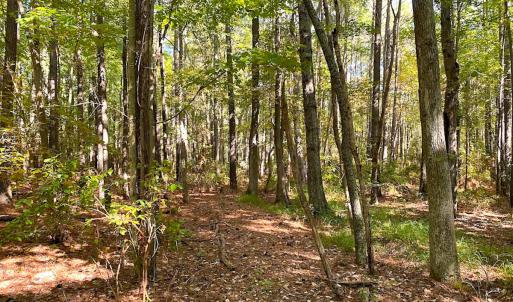 Photo #21 of SOLD property in Off Cattail Rd, Mears, VA 112.0 acres