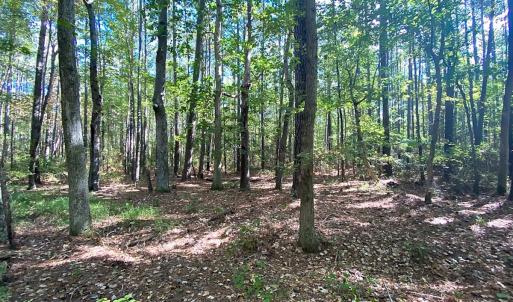 Photo #23 of SOLD property in Off Cattail Rd, Mears, VA 112.0 acres