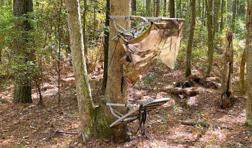 Photo #24 of SOLD property in Off Cattail Rd, Mears, VA 112.0 acres