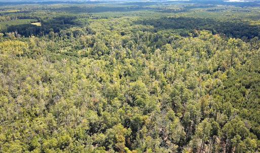 Photo #25 of SOLD property in Off Cattail Rd, Mears, VA 112.0 acres