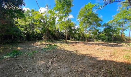 Photo #26 of SOLD property in Off Cattail Rd, Mears, VA 112.0 acres