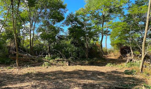 Photo #27 of SOLD property in Off Cattail Rd, Mears, VA 112.0 acres