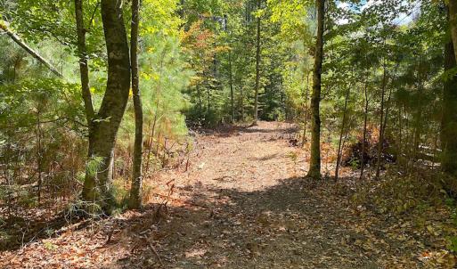Photo #30 of SOLD property in Off Cattail Rd, Mears, VA 112.0 acres