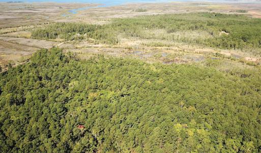 Photo #31 of SOLD property in Off Cattail Rd, Mears, VA 112.0 acres