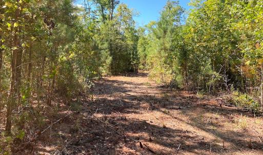 Photo #32 of SOLD property in Off Cattail Rd, Mears, VA 112.0 acres