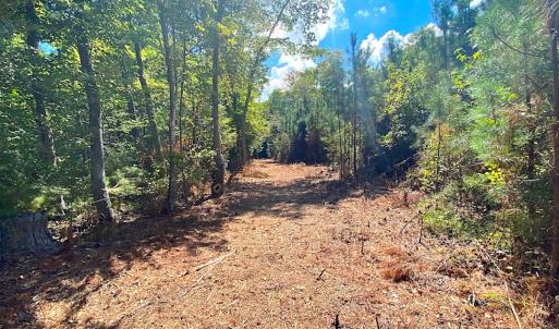 Photo #34 of SOLD property in Off Cattail Rd, Mears, VA 112.0 acres