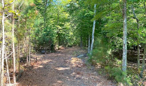 Photo #36 of SOLD property in Off Cattail Rd, Mears, VA 112.0 acres