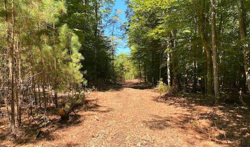 Photo #37 of SOLD property in Off Cattail Rd, Mears, VA 112.0 acres