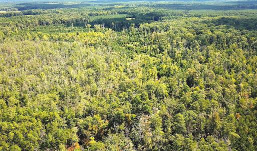 Photo #38 of SOLD property in Off Cattail Rd, Mears, VA 112.0 acres