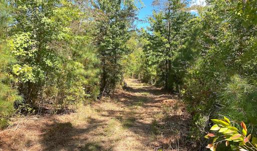 Photo #39 of SOLD property in Off Cattail Rd, Mears, VA 112.0 acres