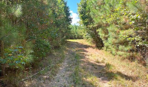 Photo #40 of SOLD property in Off Cattail Rd, Mears, VA 112.0 acres