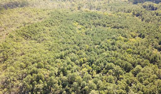 Photo #41 of SOLD property in Off Cattail Rd, Mears, VA 112.0 acres