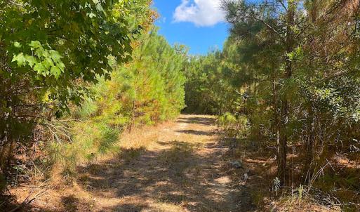 Photo #42 of SOLD property in Off Cattail Rd, Mears, VA 112.0 acres