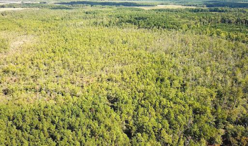 Photo #43 of SOLD property in Off Cattail Rd, Mears, VA 112.0 acres