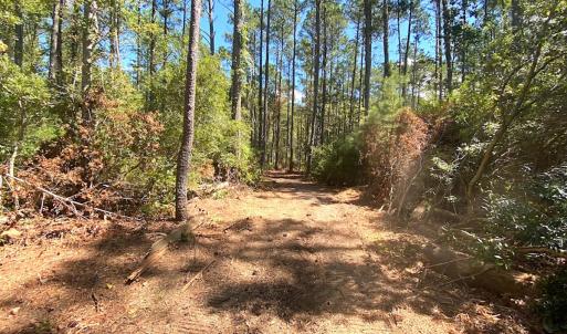 Photo #44 of SOLD property in Off Cattail Rd, Mears, VA 112.0 acres