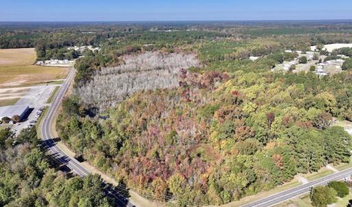 Photo #2 of SOLD property in Off Buck Swamp Road, Pikeville, NC 30.5 acres