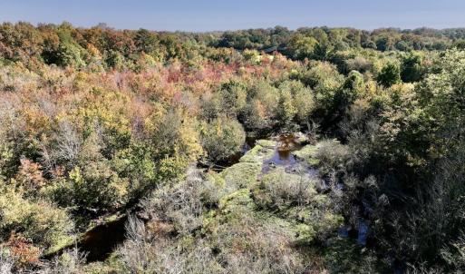 Photo #11 of SOLD property in Off Buck Swamp Road, Pikeville, NC 30.5 acres