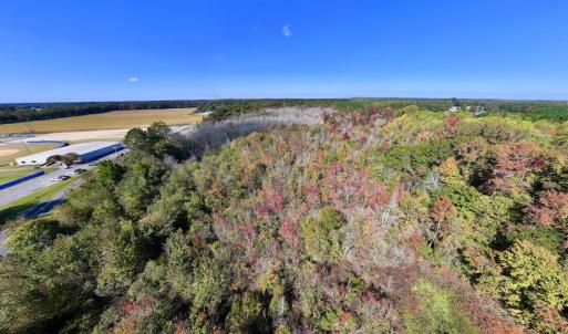 Photo #12 of SOLD property in Off Buck Swamp Road, Pikeville, NC 30.5 acres