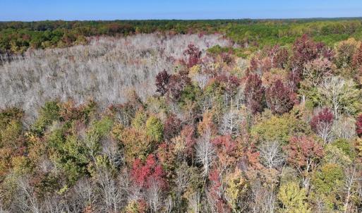 Photo #13 of SOLD property in Off Buck Swamp Road, Pikeville, NC 30.5 acres