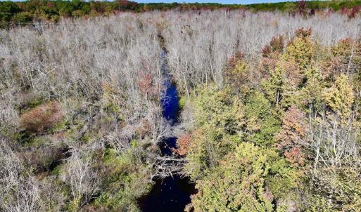 Photo #16 of SOLD property in Off Buck Swamp Road, Pikeville, NC 30.5 acres