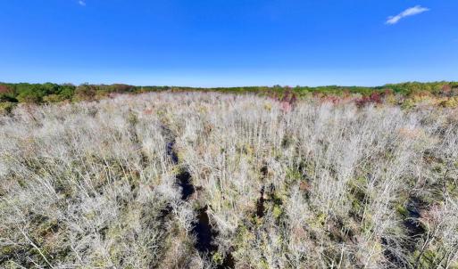 Photo #18 of SOLD property in Off Buck Swamp Road, Pikeville, NC 30.5 acres