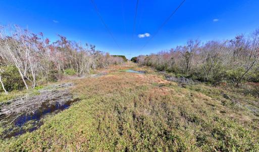 Photo #19 of SOLD property in Off Buck Swamp Road, Pikeville, NC 30.5 acres